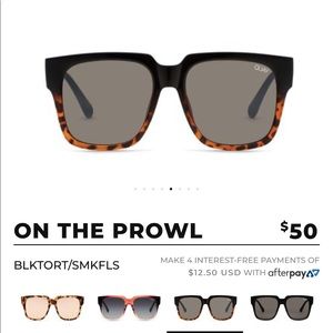 Quay on the prowl black tortoise